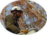 John Egart | Arborist | Colorado